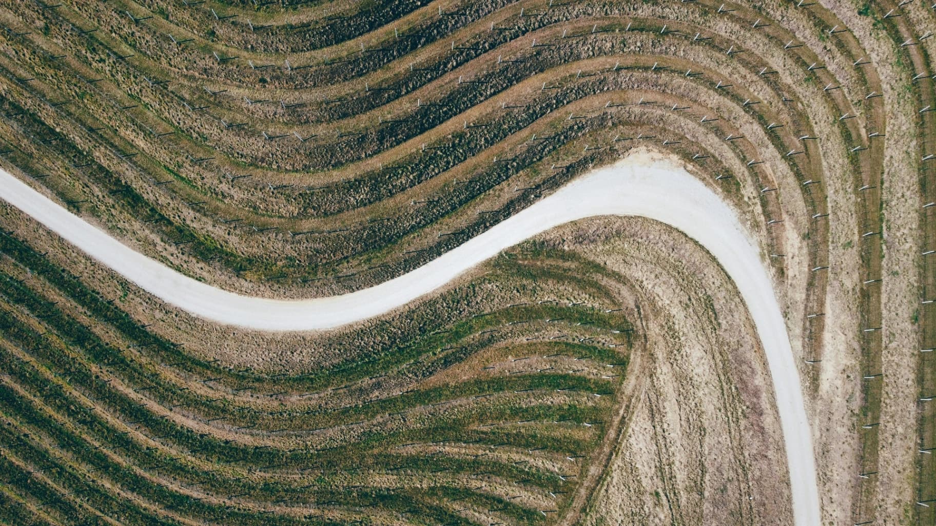 Organic agricultural fields