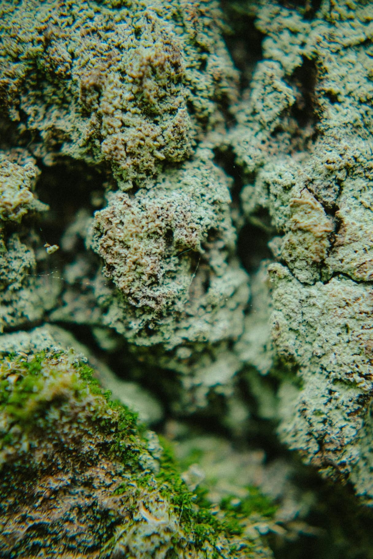Natural texture background